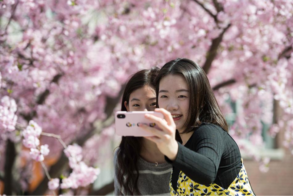 two students taking a selfie under cherry blossoms